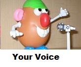 Voice